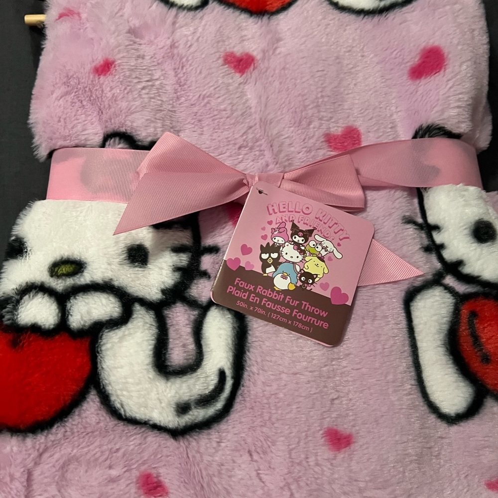 Hello Kitty Valentines Blanket